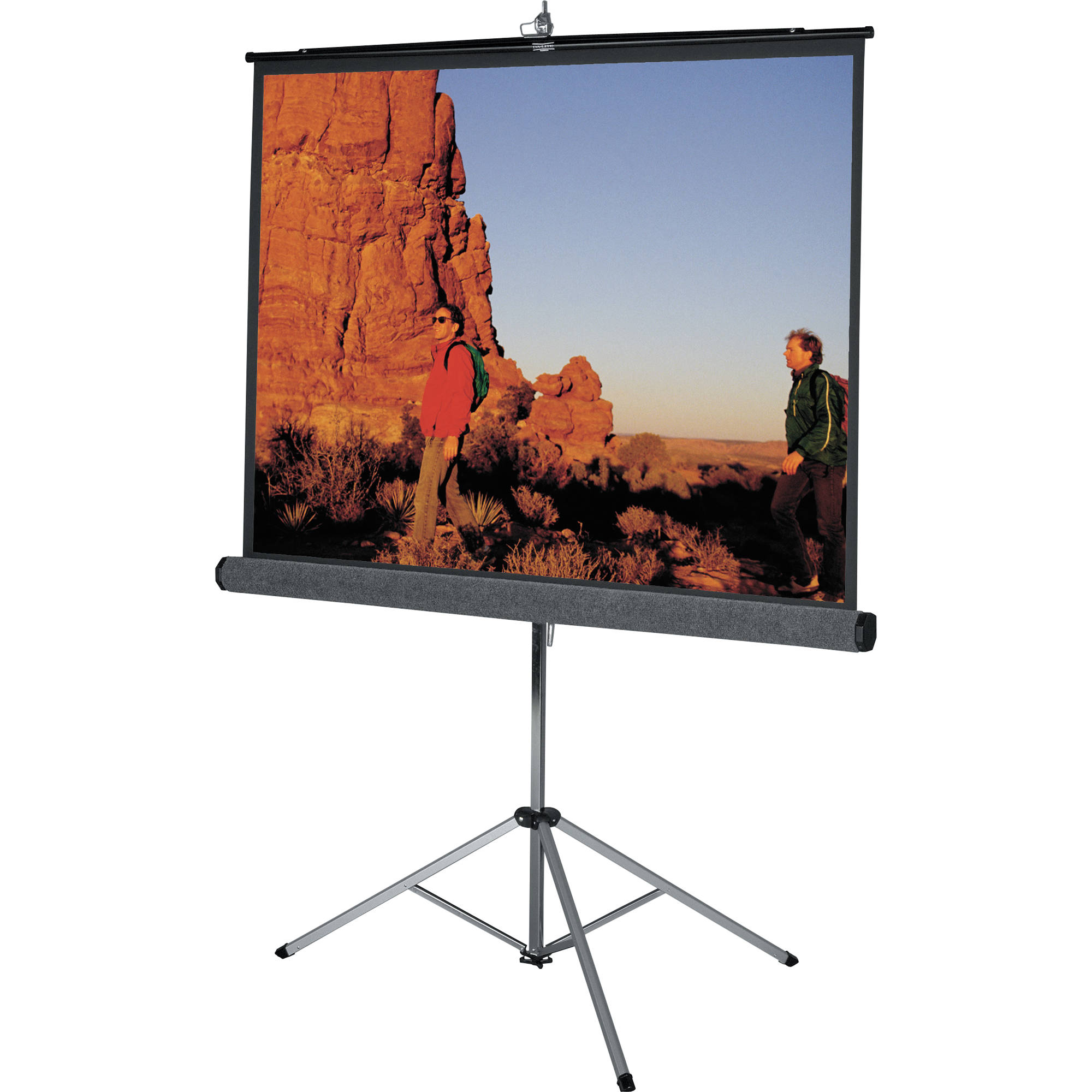 Renting Projector Screen